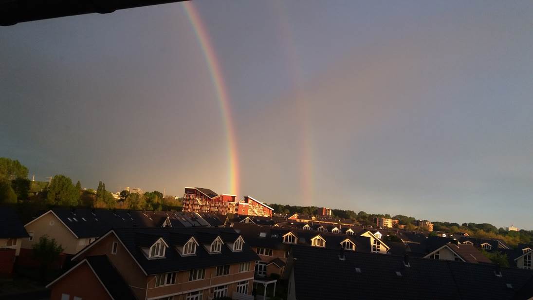 20190425_203647.jpg
